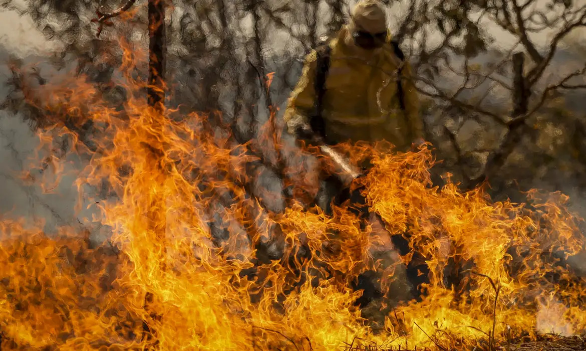 floresta pegando fogo e brigadista apagando as chamas