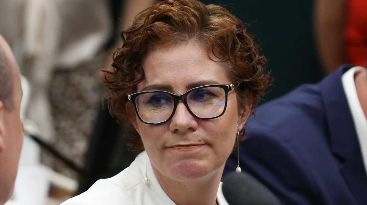 deputada federal carla zambelli