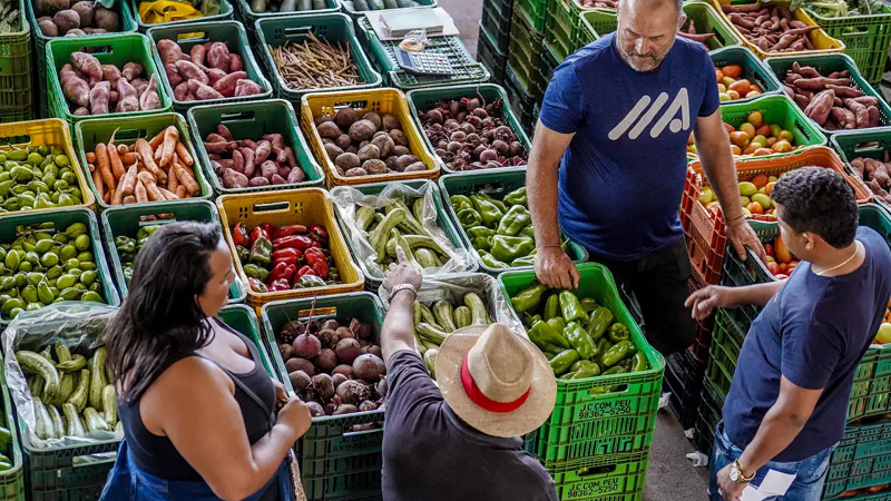 Alimentos em caixas na feira