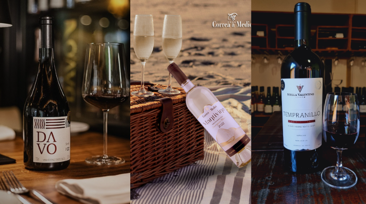 vinhos de minas campeões
