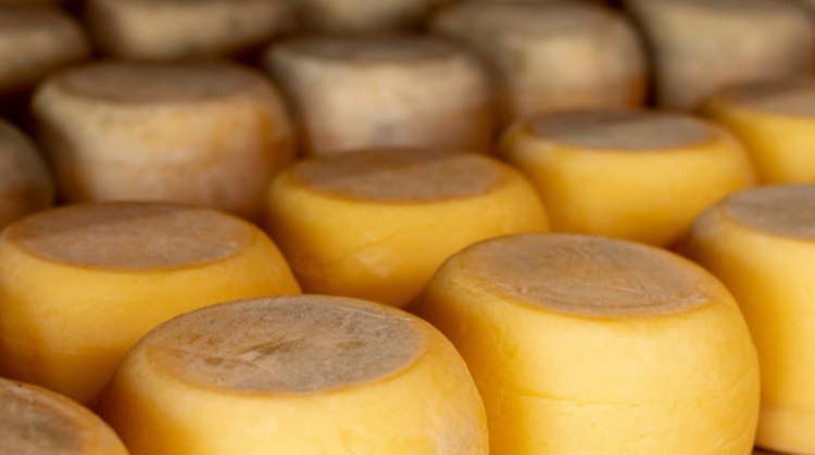 Queijo Canastra, Minas Gerais