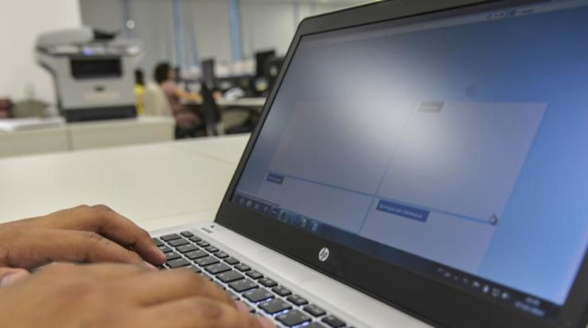cursos programadores