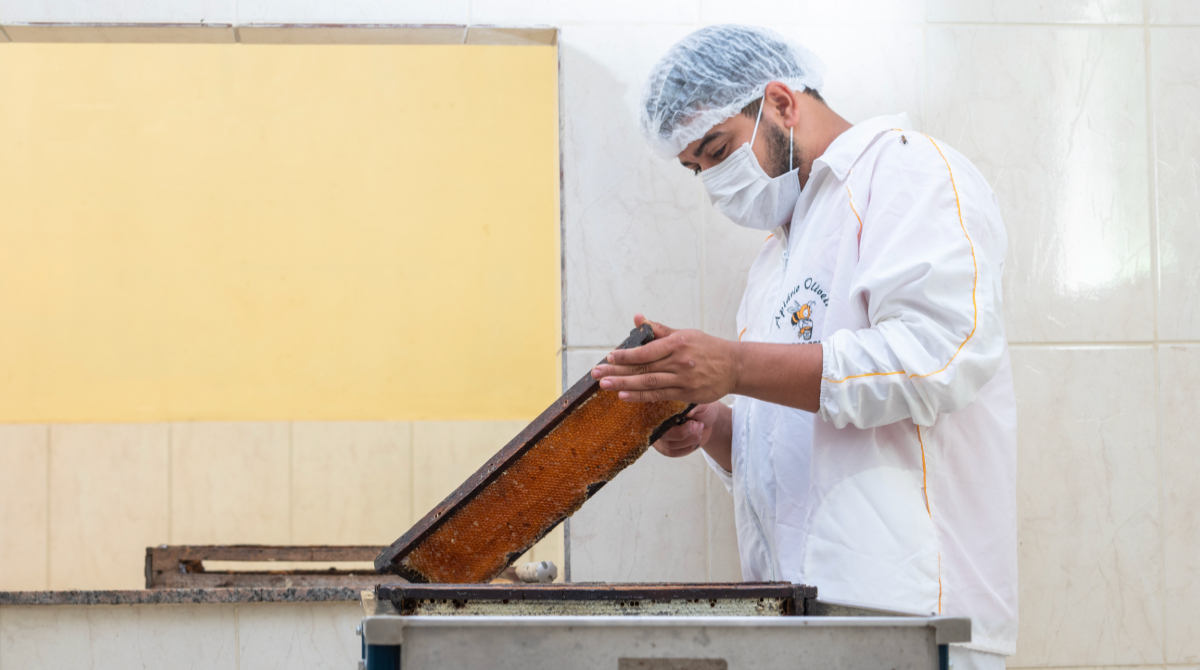 Projeto Crescer atua na apicultura