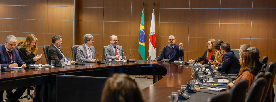Reunião do Comitê Gestor do Propag