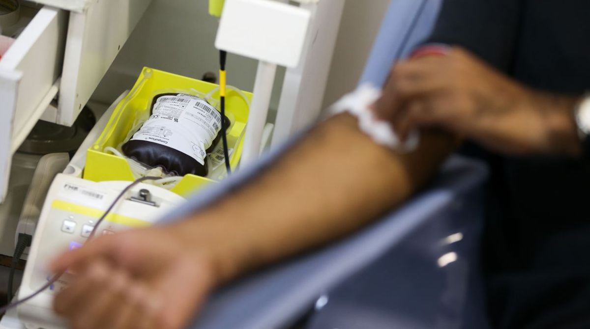 Doação de sangue no Hemominas