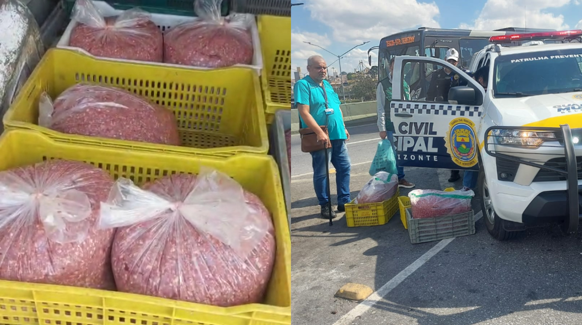 carga de carne apreendida pela Guarda Municipal