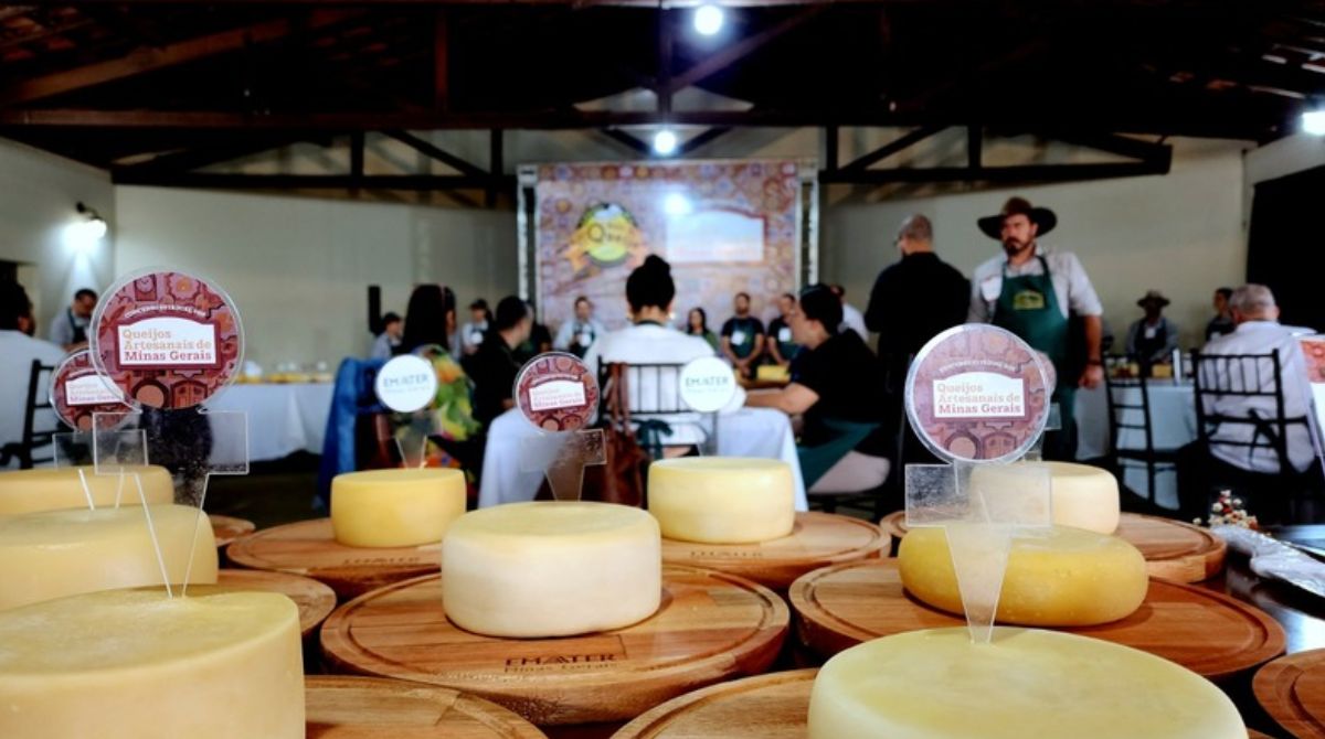 concurso emater melhor queijo minas gerais