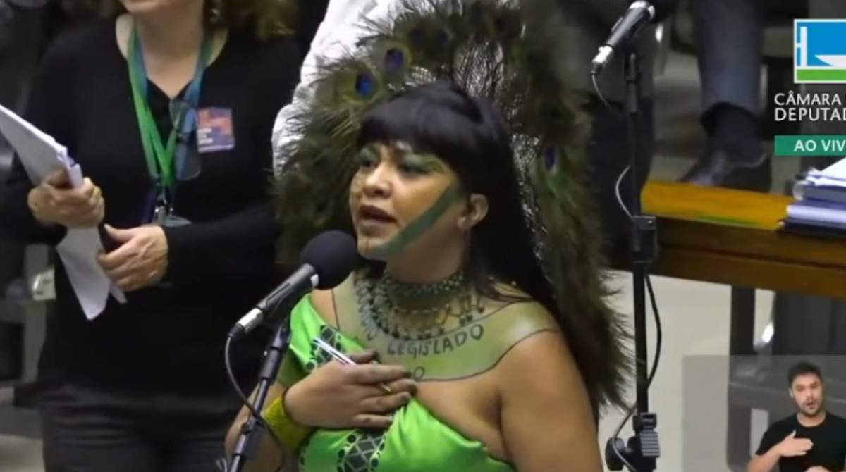 Célia Xakriabá (PSOL-MG)