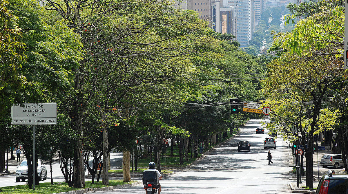 meio ambiente