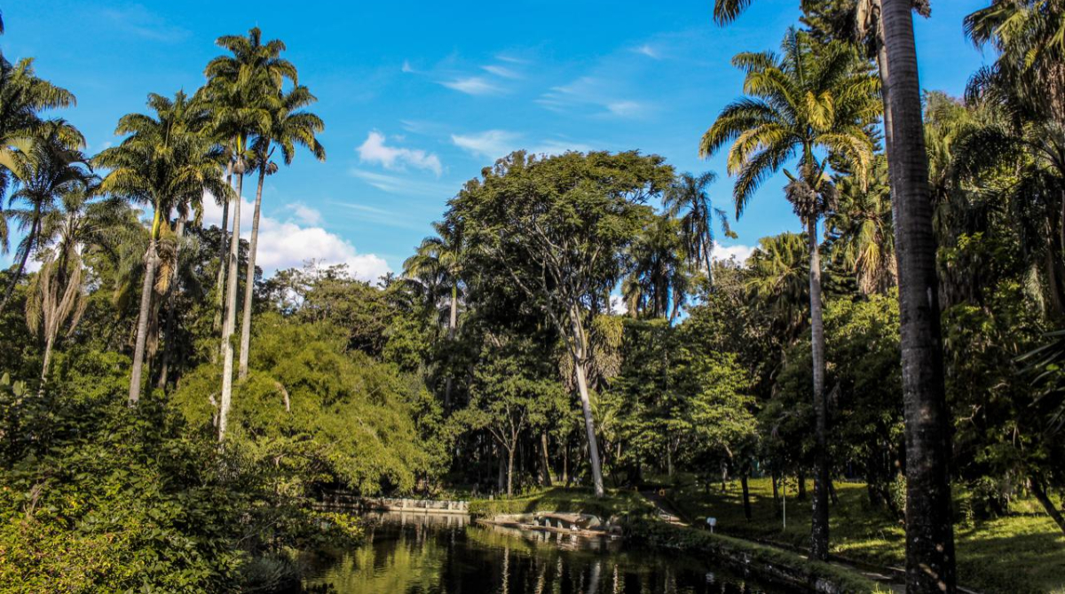 parque municipal de BH