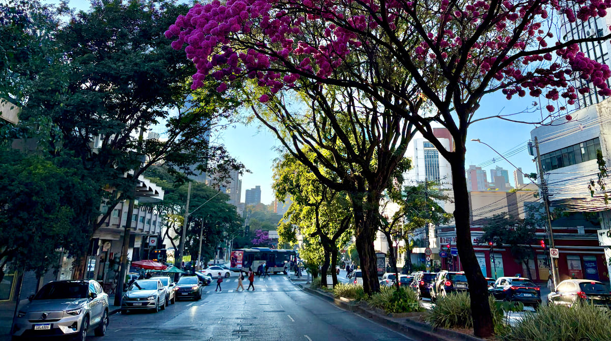 paisagem de bh